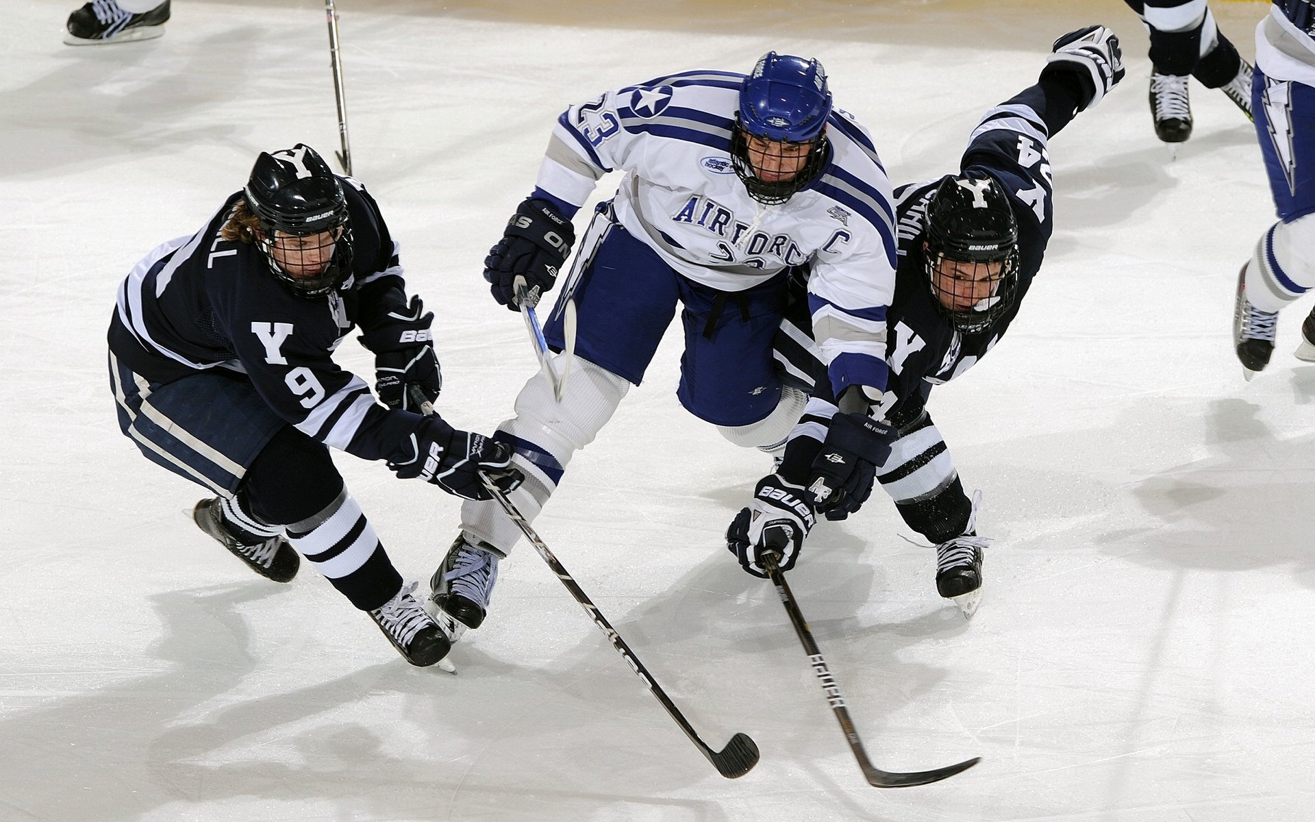足球联赛最新积分榜分析